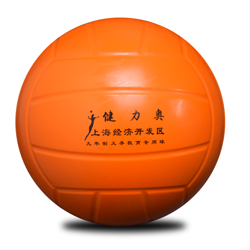 Ballon de volley - Ref 2008488 Image 4