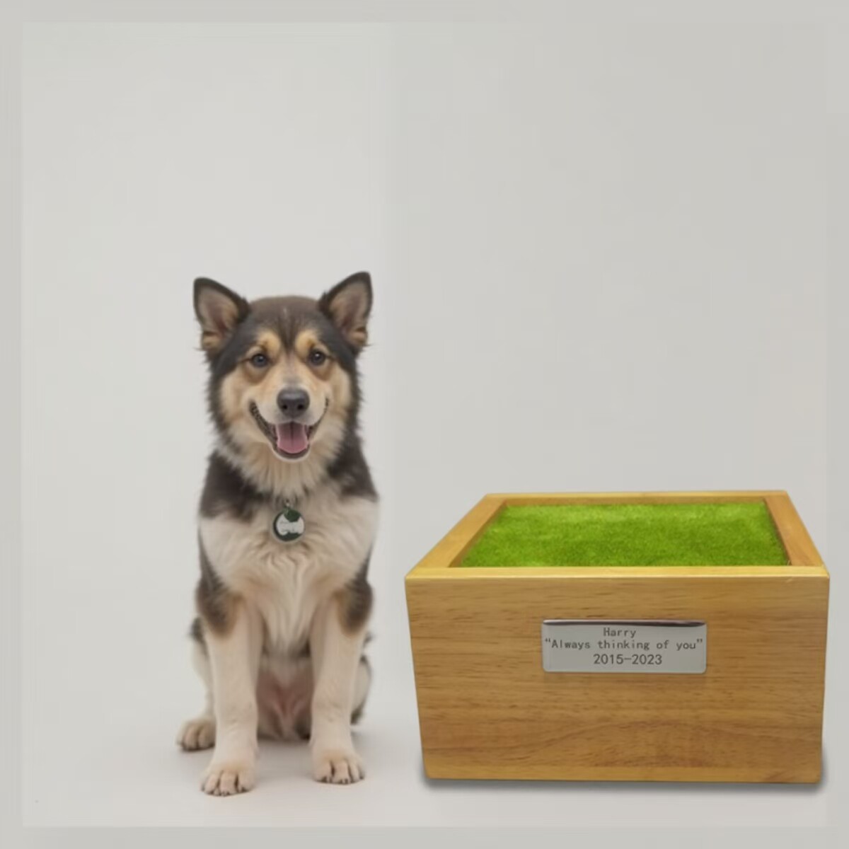 宠物骨灰盒狗狗猫咪去世火化殡葬用品刻字密封防潮遗物纪念安乐盒