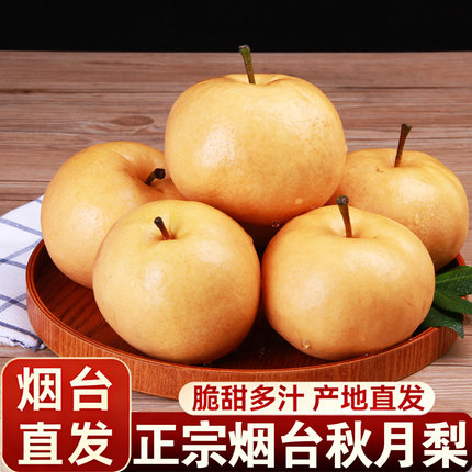 烟台秋月梨山东梨子新鲜水果脆甜多汁应季冰糖梨脆梨产地直发包邮