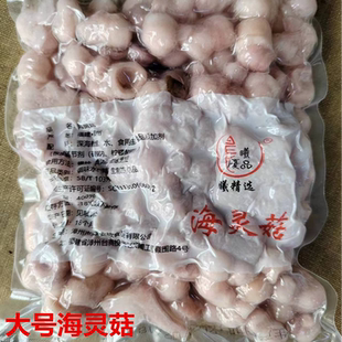 海灵菇延边啤酒菜特色大号海灵菇配辣炒酱章鱼吸盘海鲜海灵菇