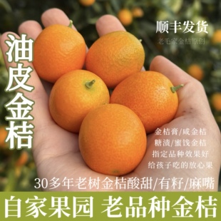 阳朔油皮金桔黄皮麻嘴新鲜水果优质老品种桔孕妇酸甜顺丰包邮5斤