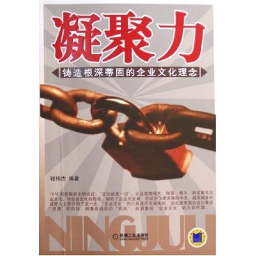 正版书籍 凝聚力(铸造根深蒂固的企业文化理念 程伟杰