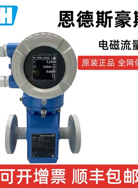 E+H电磁流量计冷热量计能量计恩德斯豪斯Proline Promag5W4C 5P3B