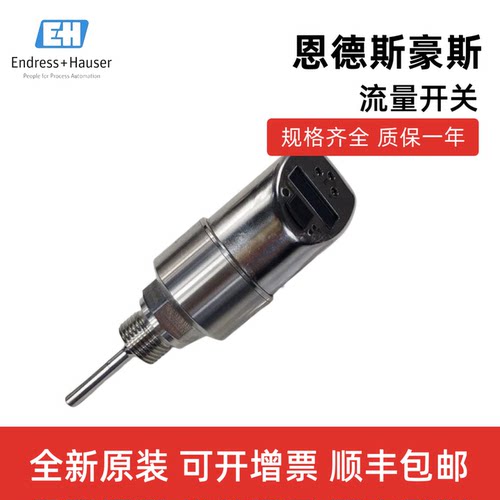 E+H流量开关DTT31DTT35电磁