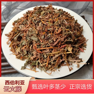 中 药 材云火藤20年生长云火藤泡酒泡脚云火藤茎叶云火藤送纱布袋