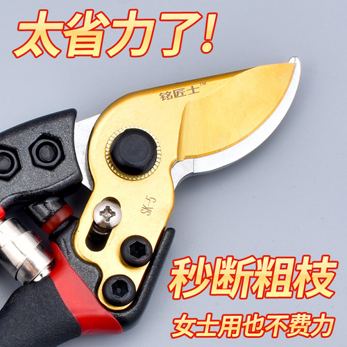 省力鹰嘴修枝剪锋利耐用