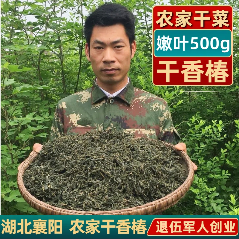 干香椿叶湖北襄阳特产农家野生香椿芽晒干新鲜香春头咸菜干货500g
