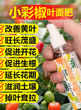 小彩椒专用肥料盆栽植物五彩椒小苗种植辣椒树土培营养液有机肥料