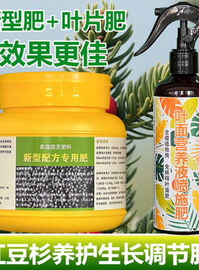 红豆杉专用肥料种植盆栽红豆杉树苗专用土盆景养护营养液叶面肥料