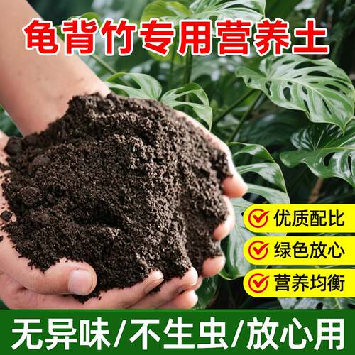 龟背竹专用土料养殖小苗水培专用土培盆栽养护专用营养土种植家用