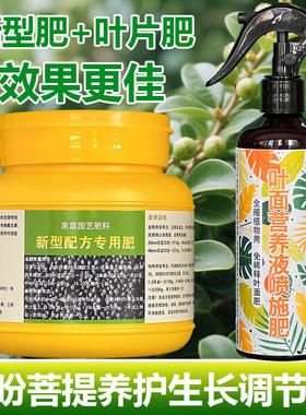 菩提树专用肥料种植盆栽养殖土营养液发黑枯萎焦尖发黄掉叶面肥料