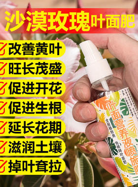 沙漠玫瑰专用肥料养殖土壤营养液发黄尖焦边缘干枯黑斑掉叶面肥料