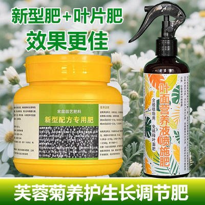 芙蓉菊专用肥料老桩盆栽小苗盆景土培花肥营养液叶面肥水溶化肥料