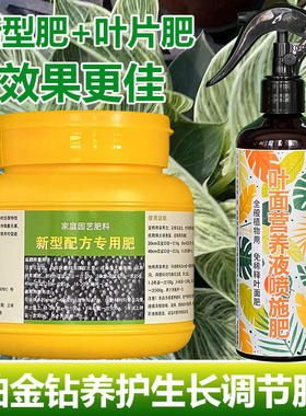 铂金钻专用肥料盆栽大叶金钻绿公主蔓绿绒土培水培营养液叶面肥料