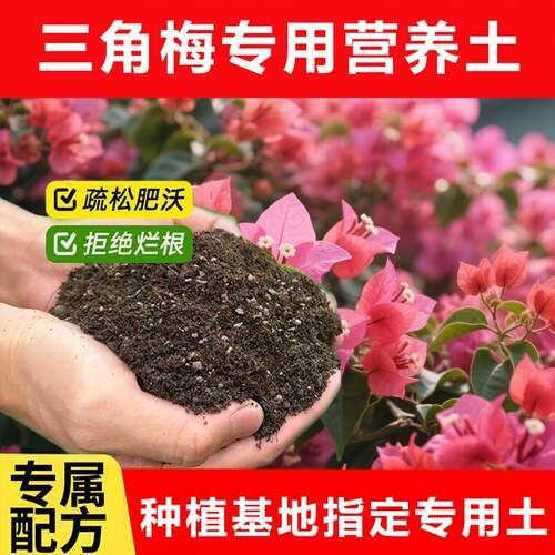 三角梅专用土料开花肥土营养土种植家用上色生长枝条发新种植家用