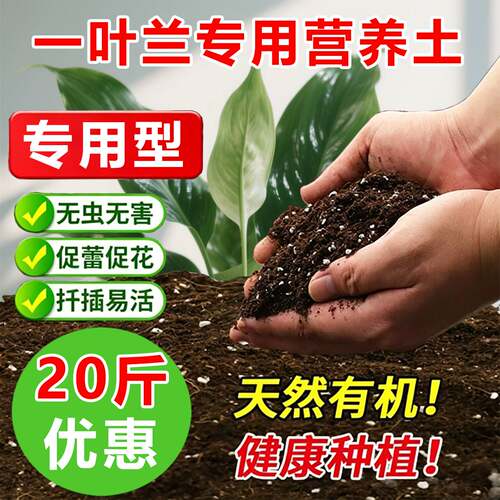 一叶兰专用土料盆栽绿植物土培水培营养土种植肥有机土花卉土家用
