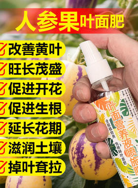 人参果专用肥料盆栽人参果树苗营养液旺长生根发芽促长新叶面肥料