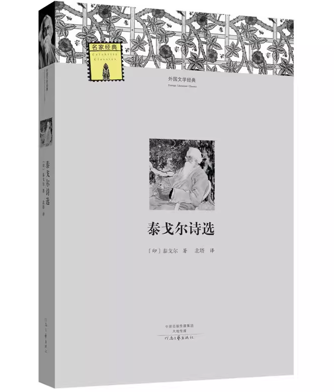 河南文艺出版 泰戈尔诗选 外国文学经典 初高中生课外书 经典文学世界名著外国小说课外读物 青少年课外阅读书籍畅销读物排行榜