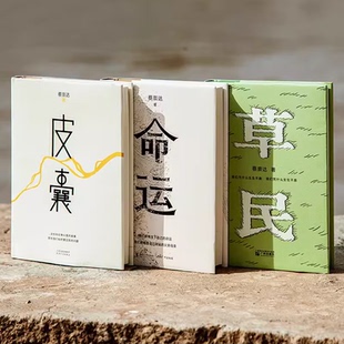蔡崇达金色故乡三部曲:皮囊+命运+草民 蔡崇达 金色典藏版 海边小镇 普通人坚韧的生命力 中国当代文学 畅销书 新华正版