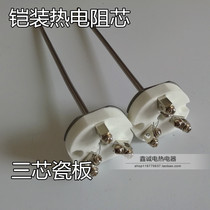 Wzpk-010 armored thermal resistance core PT100 thermal resistance sensor assembled thermal resistance temperature measuring core