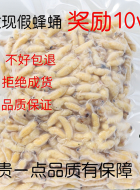 新鲜冰冻马蜂胡蜂葫芦蜂七里黄脚大土蜂金环黑尾大黄蜂蜂蛹幼虫