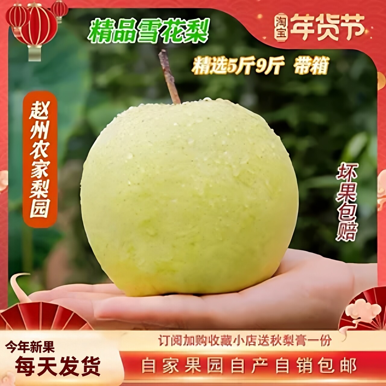 特级雪梨赵县雪花梨新鲜水果10斤应季水果当季采摘现发河北梨包邮