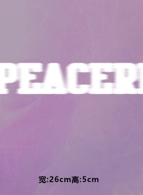 高级烫画图案新款时尚英文PEAC烫画贴印花衣服热转印白墨烫画布贴