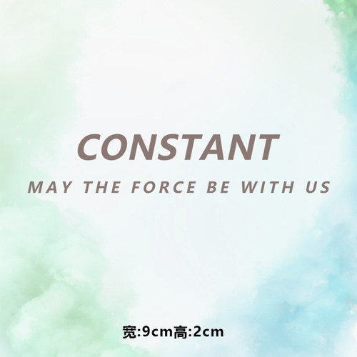 高级烫画图案新款时尚constant烫画贴印花衣服热转印白墨烫画布贴