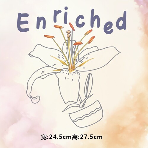 潮牌enriched线条花朵花蕊图案烫画贴时尚印花衣服热转印贴纸