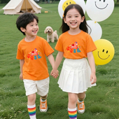 毕业班服定制t恤纯棉短袖 体恤初中高中小学生幼儿园运动会团体服