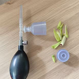 新款凤梨释迦专用授粉器方便快捷授粉器气动D款点花器高品质