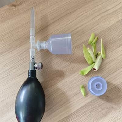 新款凤梨释迦专用授粉器
