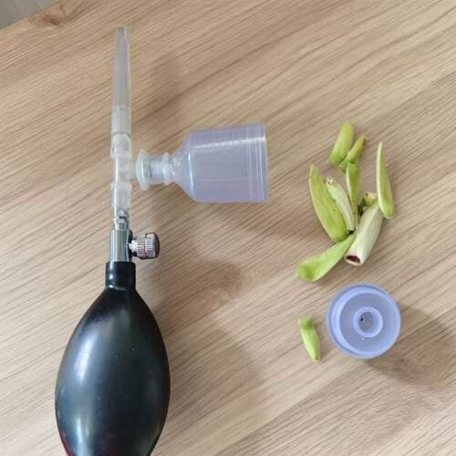 新款凤梨释迦专用授粉器