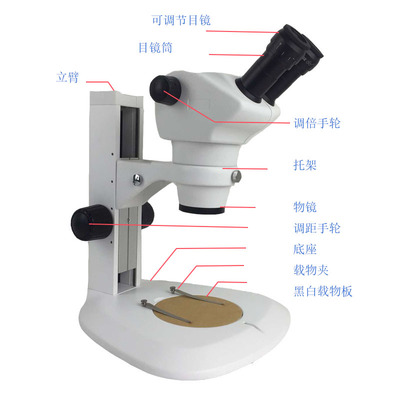 大连变显微镜科研维修8-50XFUCOT