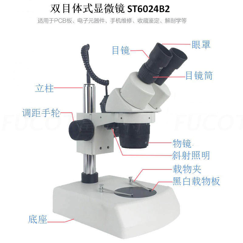 ST6024B2显微镜 上下光源 20-40x 10-30X 10-20X两档变倍