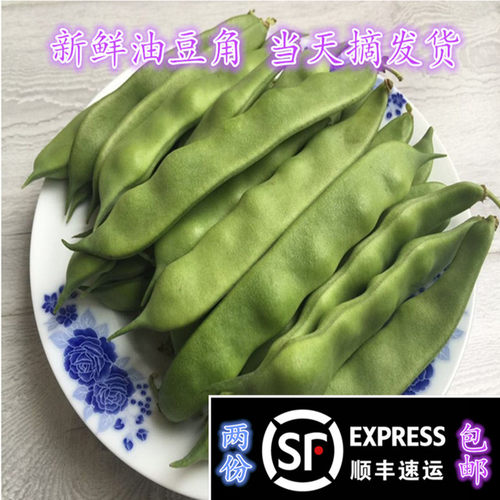 天天特价油豆角东北特产农家新鲜蔬菜芸豆开锅烂豆角2斤 5斤包邮