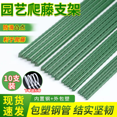 黄瓜爬藤架花支柱组合