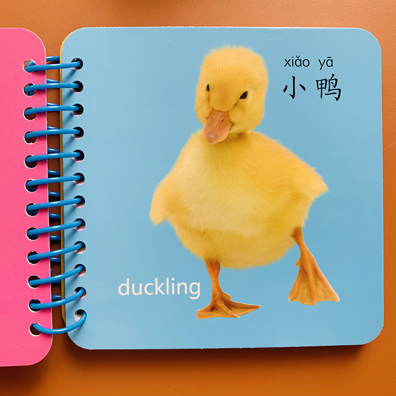 图片婴儿小孩子认识动物的图片大图动物大全一二三岁学习看图认动物