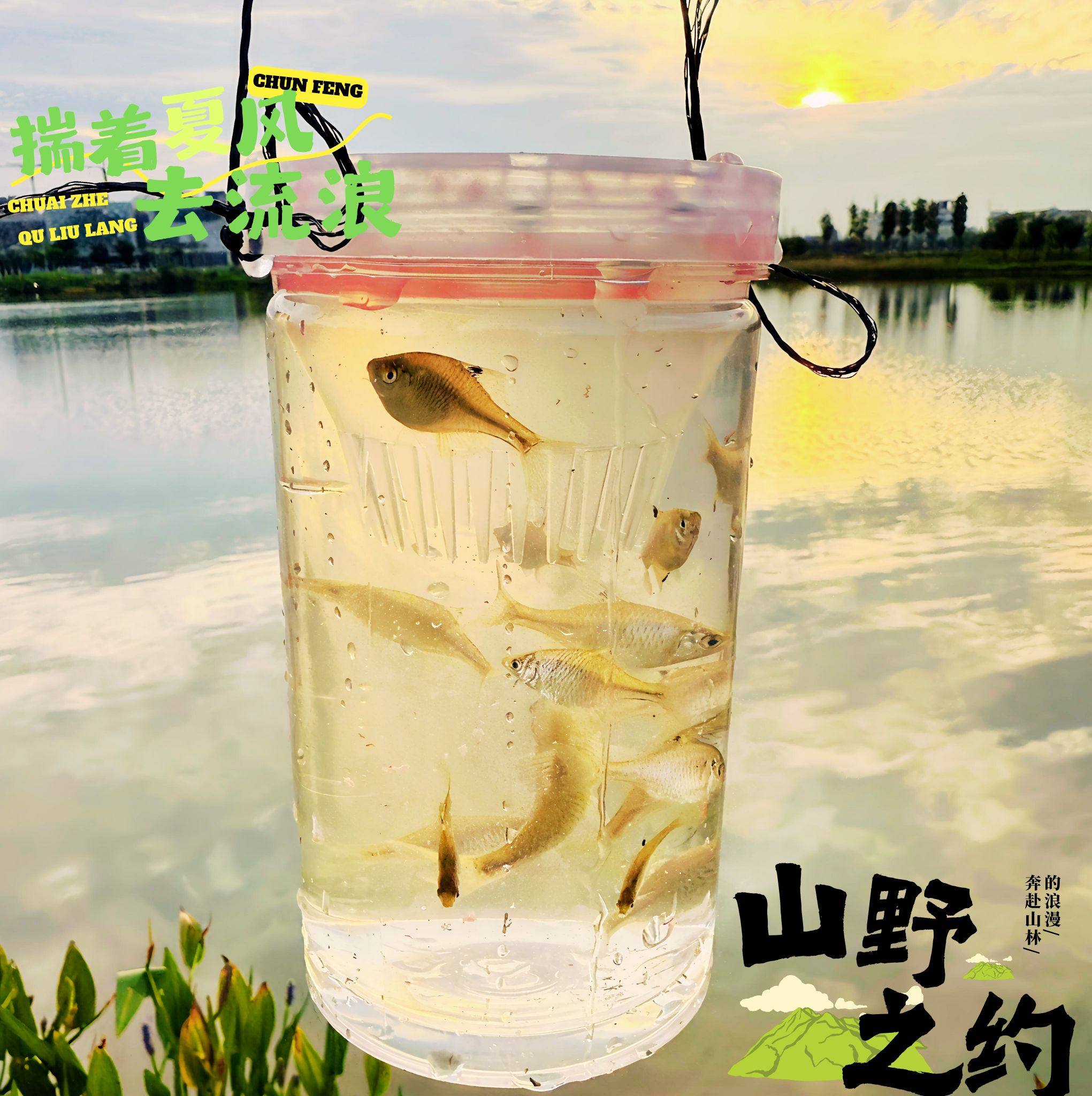 儿童捉鱼神器抓鱼瓶工具倒须户外亲子优质捕鱼篓池塘鱼笼渔网笼大