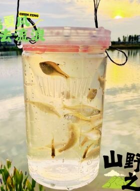 儿童捉鱼神器抓鱼瓶工具倒须户外亲子优质捕鱼篓池塘鱼笼渔网笼大