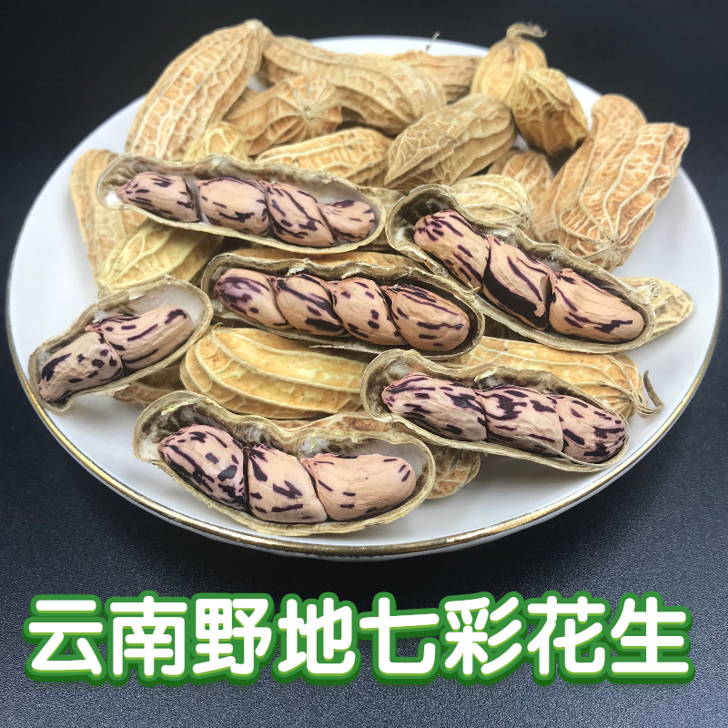 2025年新货云南野地七彩花生带壳新鲜水果花生非红皮1000g包邮