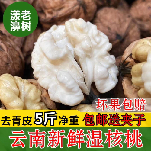 2026年云南漾濞去青皮新鲜湿核桃