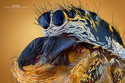 欢迎加入讨论组