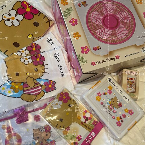 现货 日本采购夏日黑皮kitty50周年限定一番赏公仔挂件野餐垫水杯