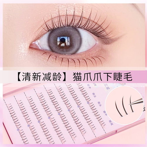 新手假睫毛双尖自然仿真透明梗