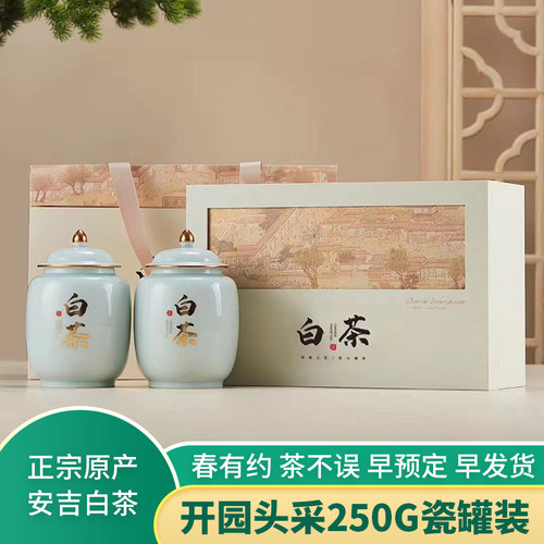 安吉白茶春茶新茶礼盒装绿茶