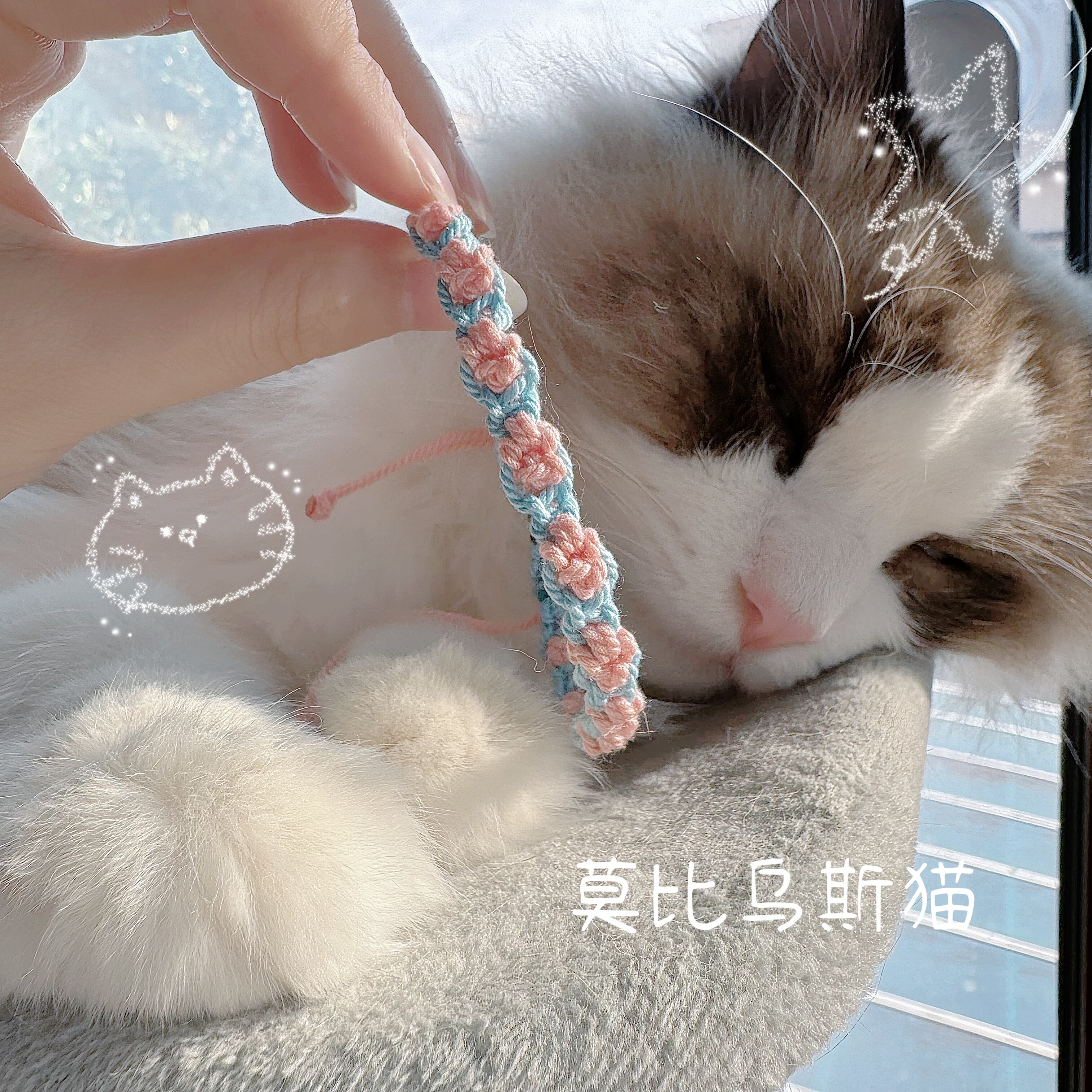 【灵猫环游】猫爪手绳编绳小众设计百搭新店开业冲销仙女礼物显白
