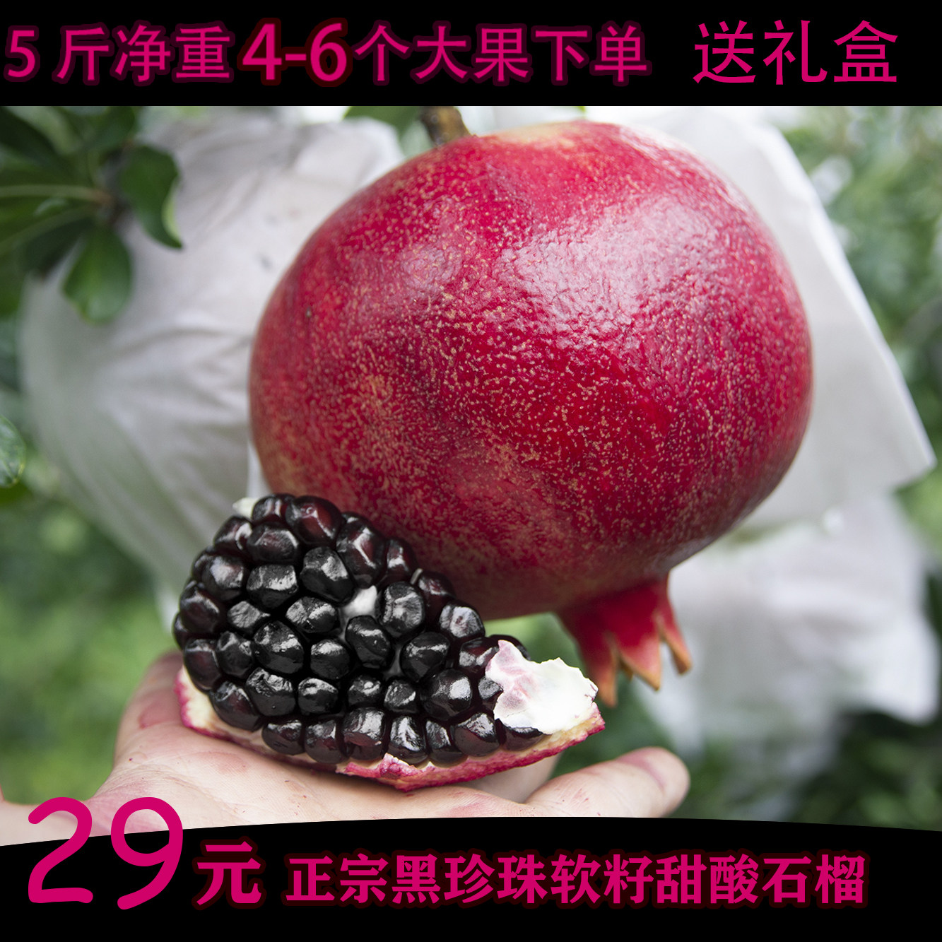 黑籽酸甜石榴花青素泡酒专用黑珍珠新鲜水果当季孕妇软籽