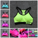 Coques pour soutien-gorge CANVAUS - Ref 822221 Image 206