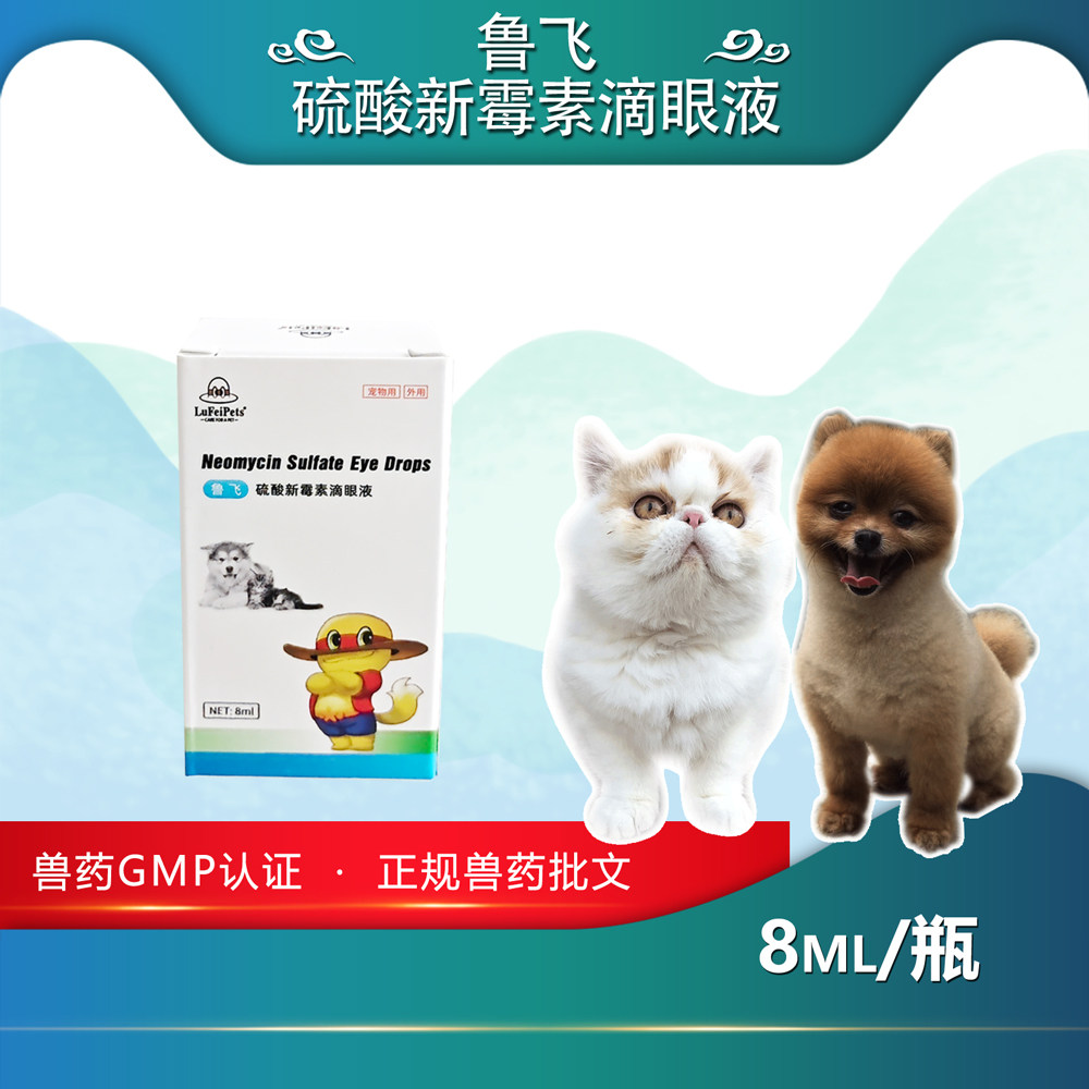 宠物硫酸新霉素滴眼液狗狗猫咪眼睛抗菌眼药水结膜角膜
